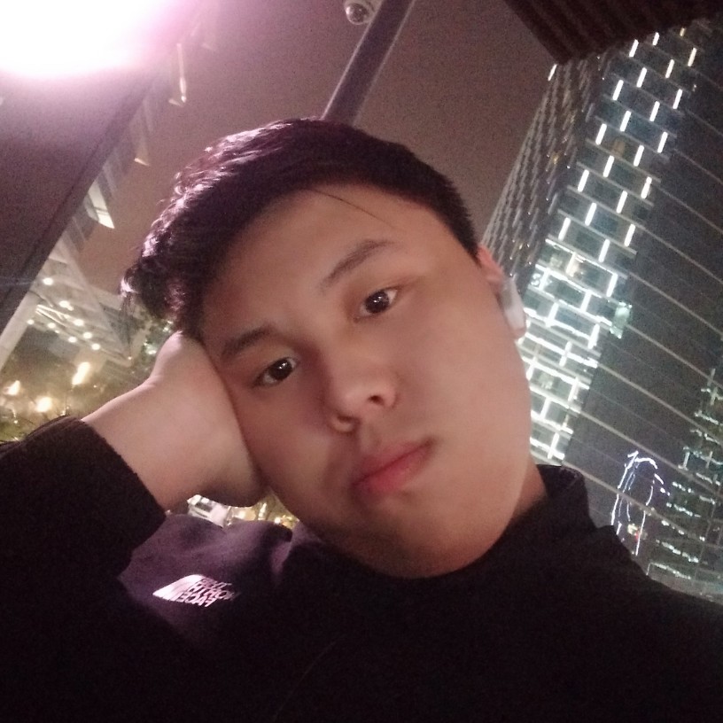 羽毛舒适的照片