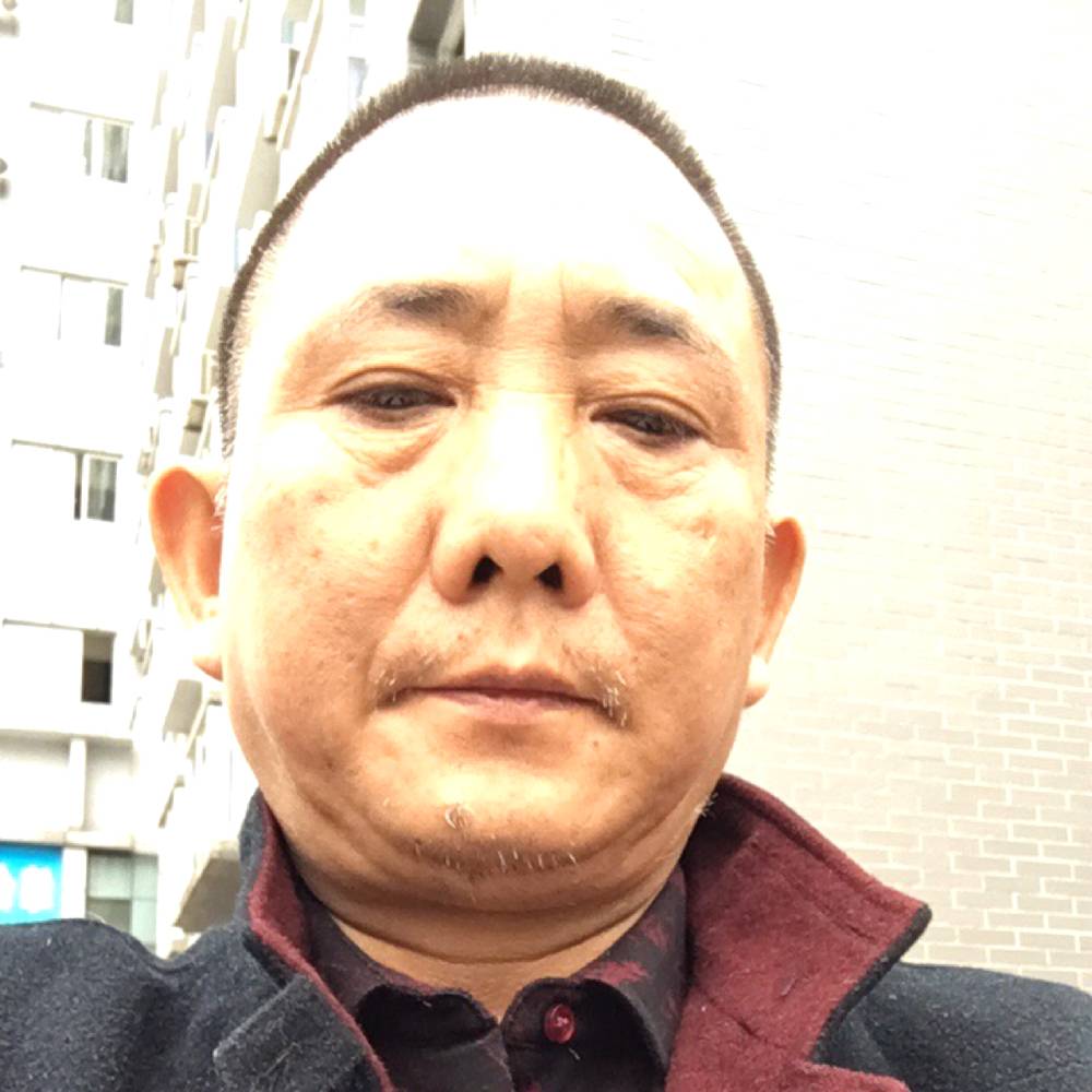 安静的老虎的照片