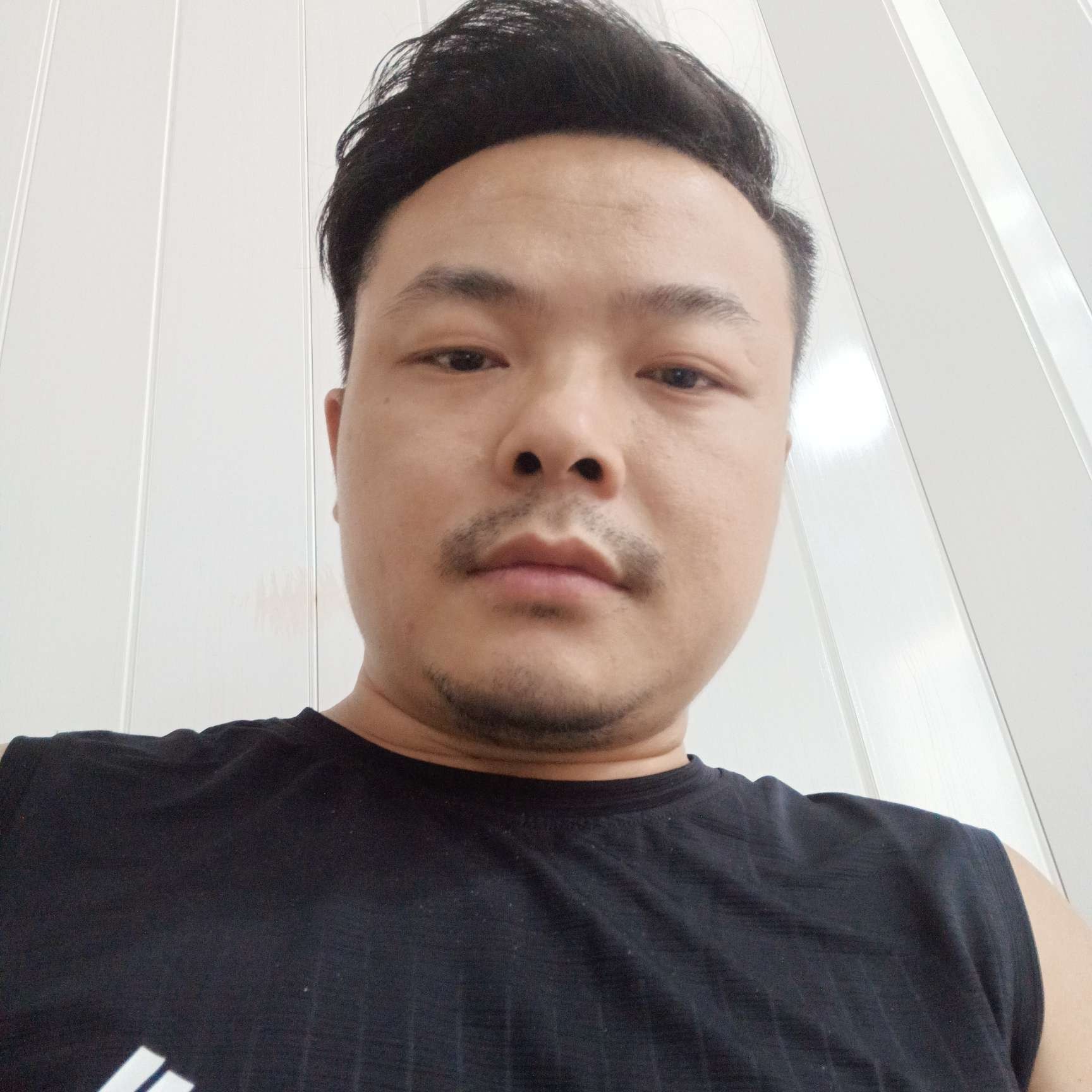 美好有小海豚的照片