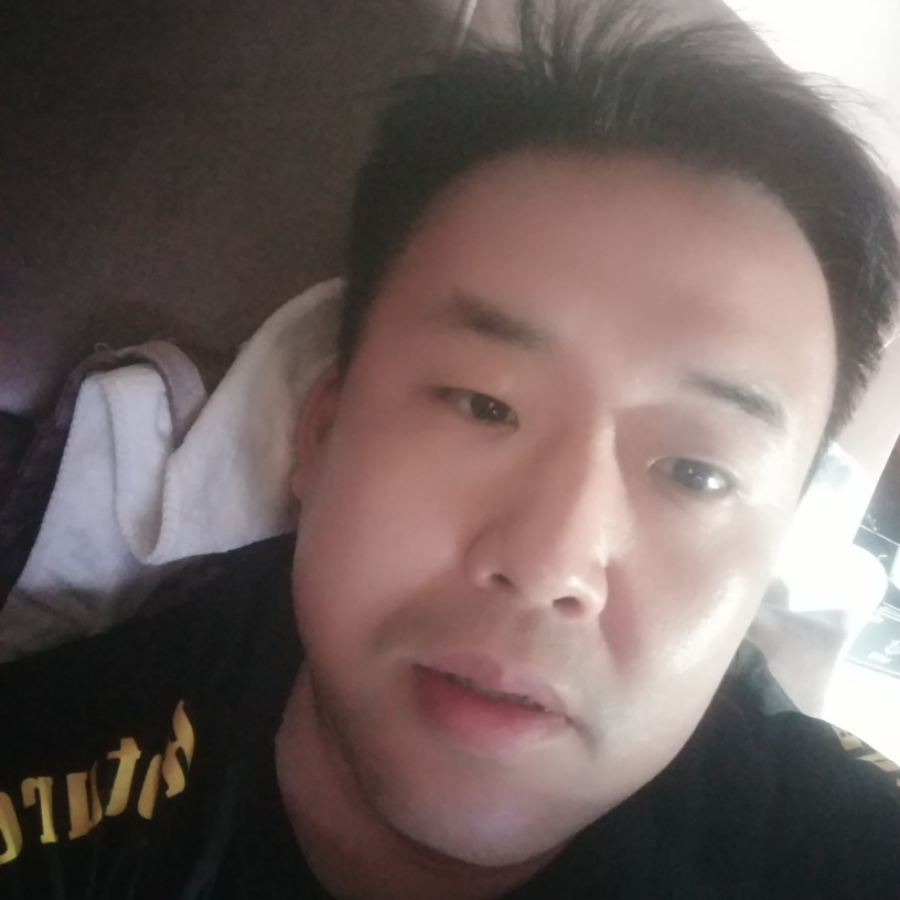 疯狂的太阳1的照片