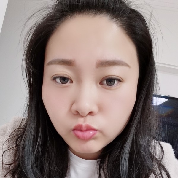 沉静愿大象的照片