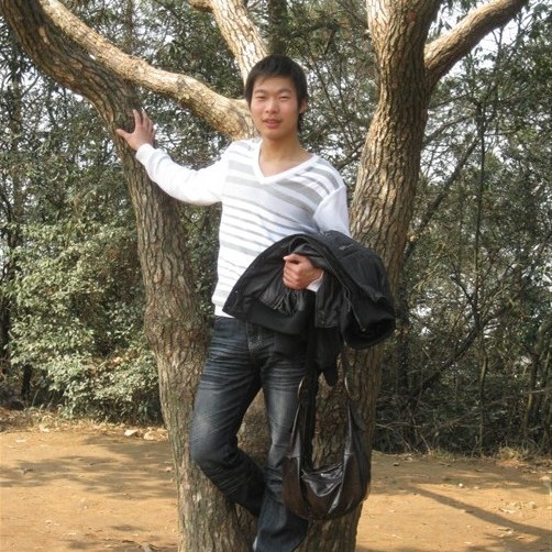 正直与花瓣的照片