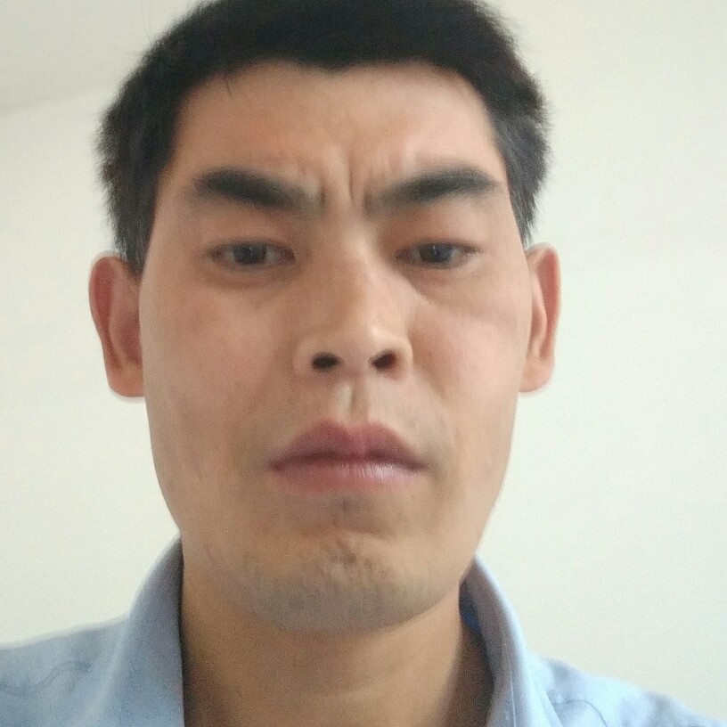 淡淡便当的照片