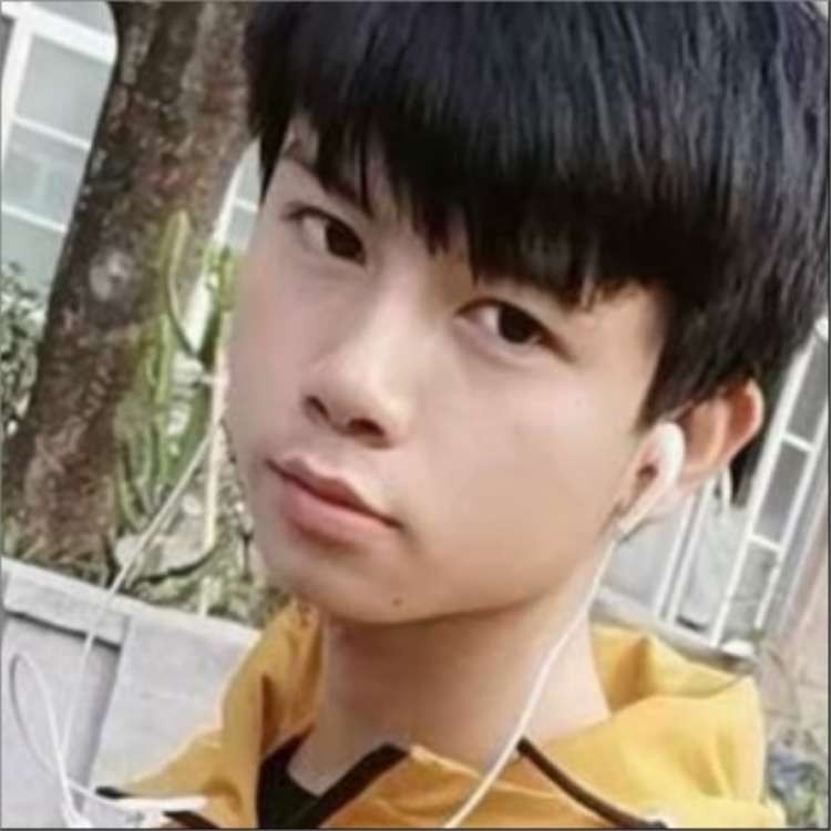 豪猪先生的照片