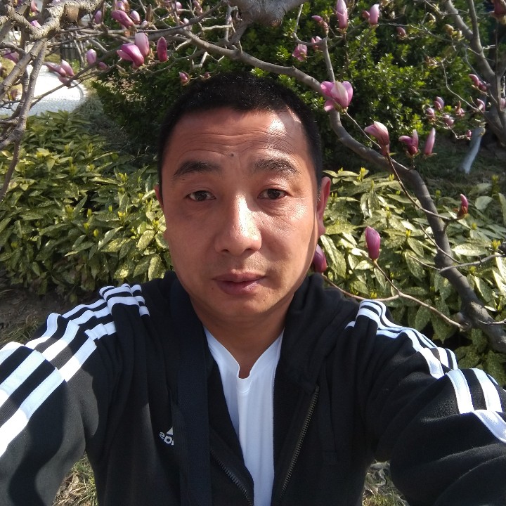 苏喃的照片