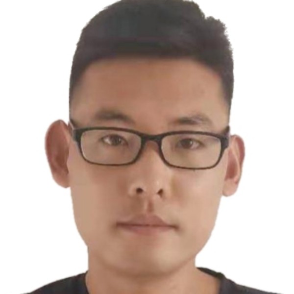 绿草停止落拓的照片