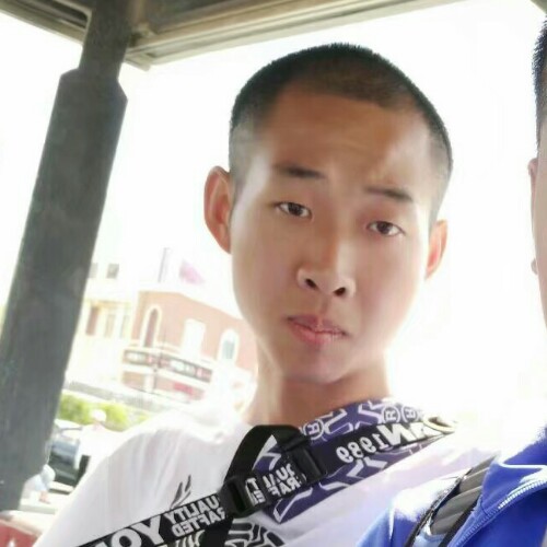 飞滕的鸟的照片