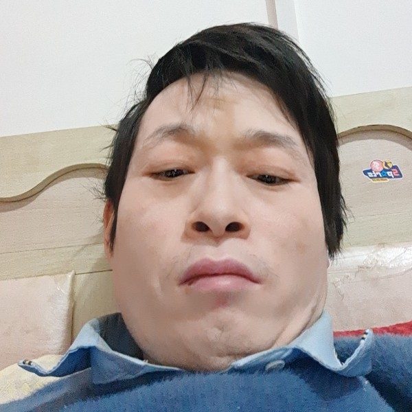 寂寞放弃黑猫的照片