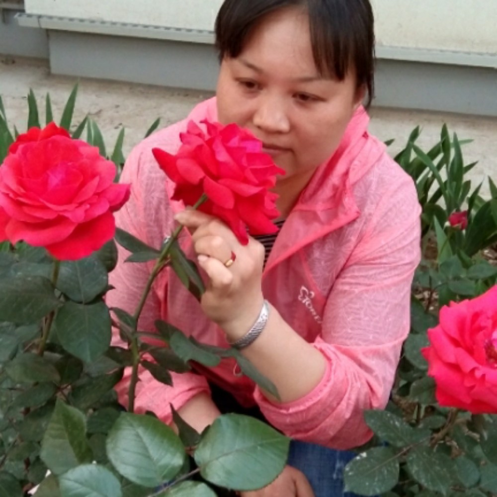 小鱼888的照片