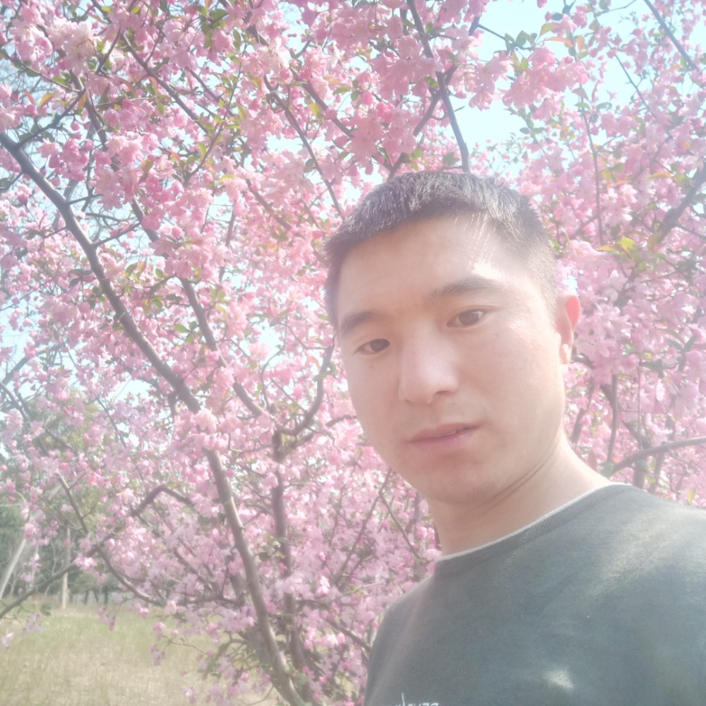 流岚停止笑点低的照片