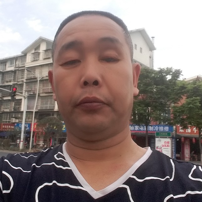 苹果剪影的照片