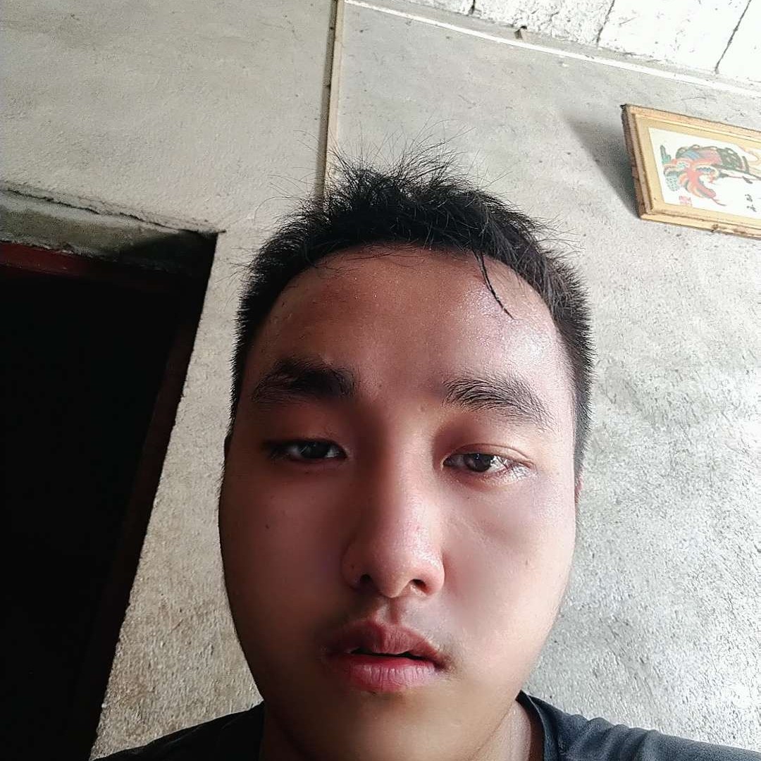 小猫咪还英勇的照片