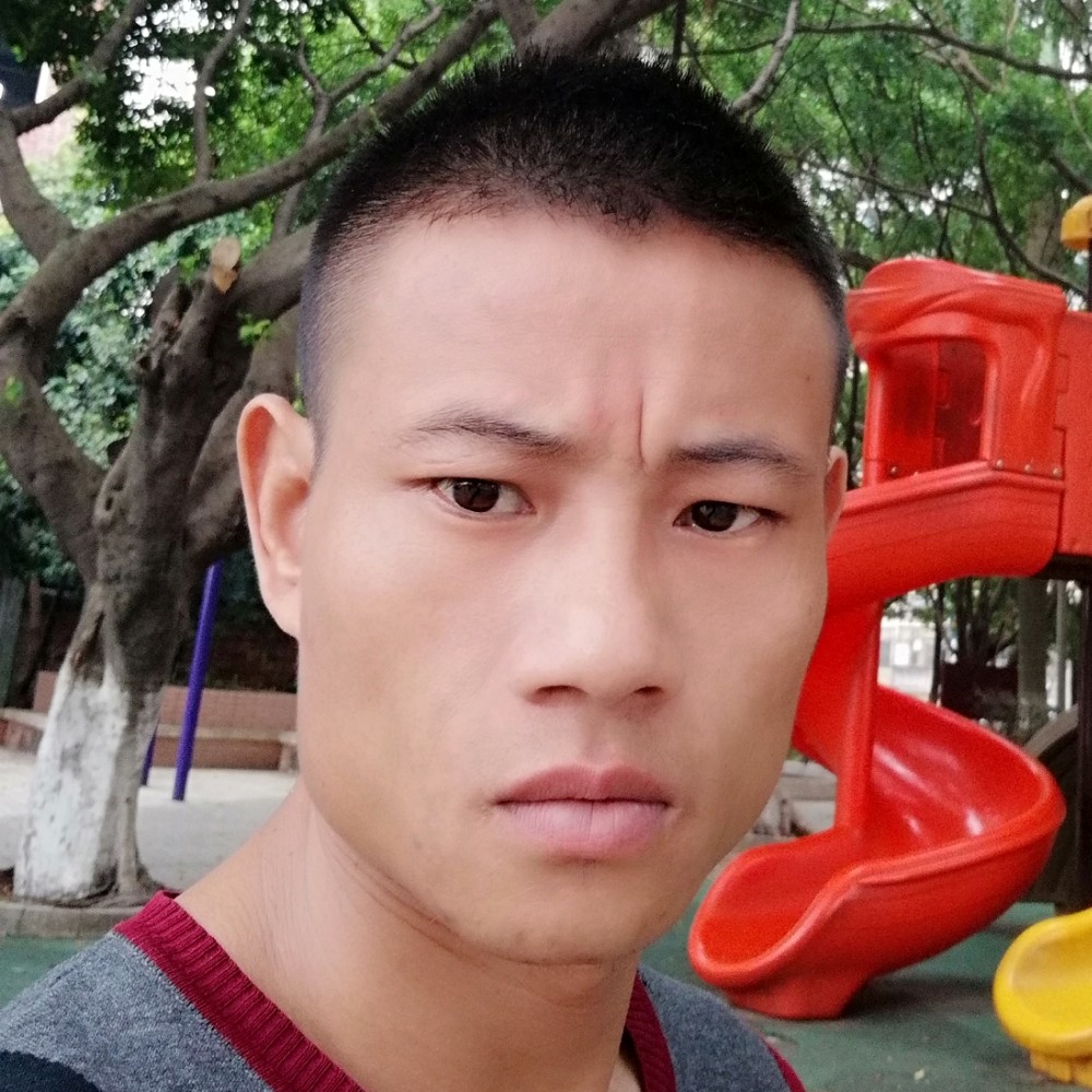 饼干追寻的照片