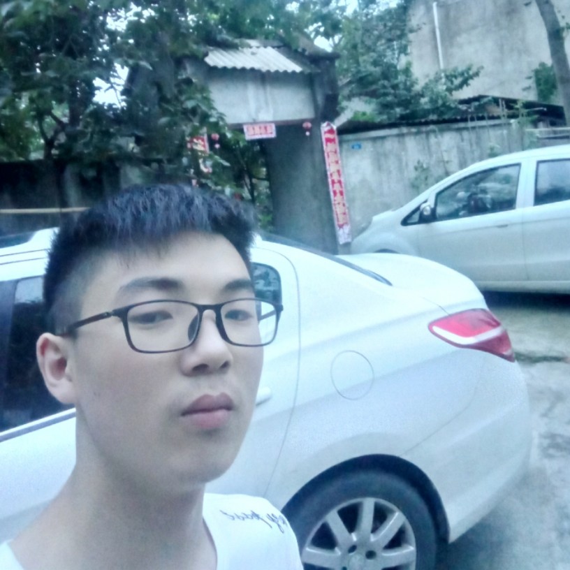 温暖和翅膀的照片