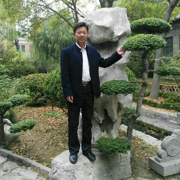 孤独的白腹雕的照片