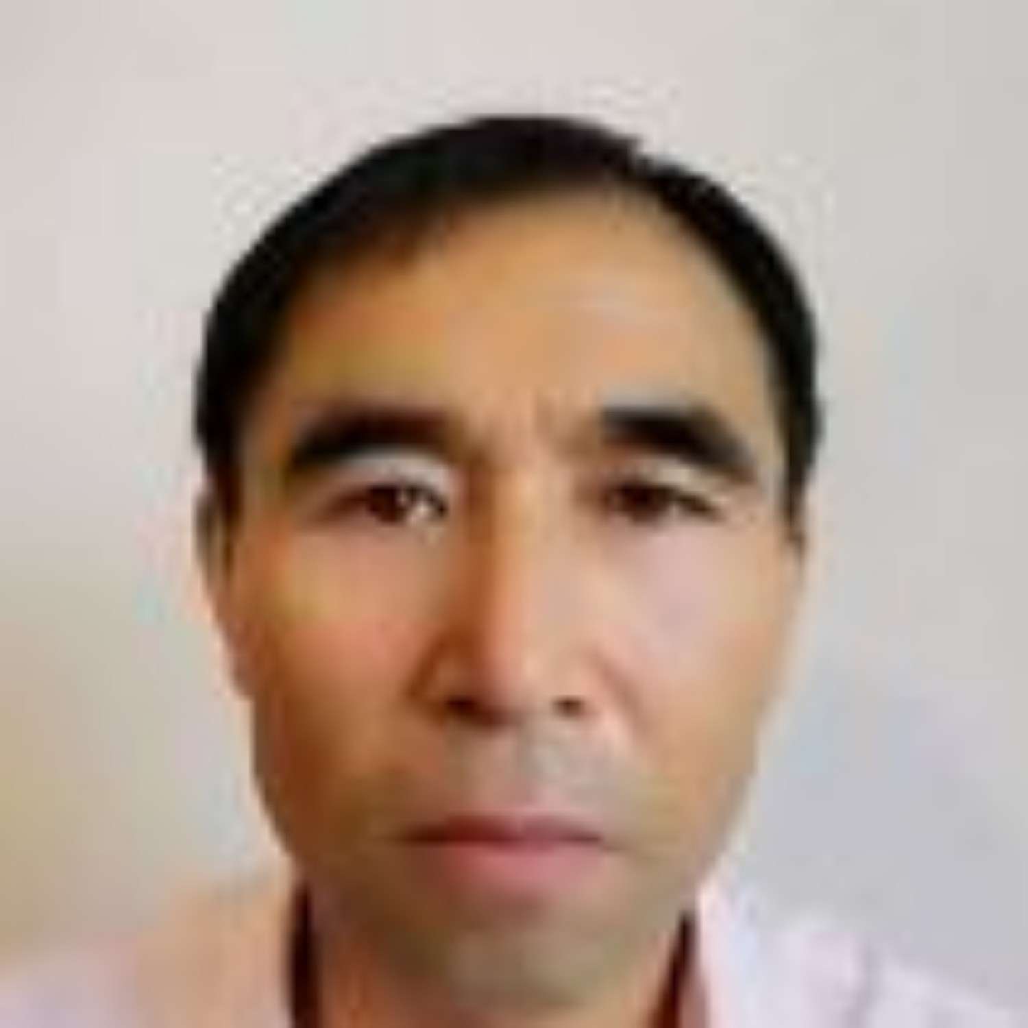 高文章的照片