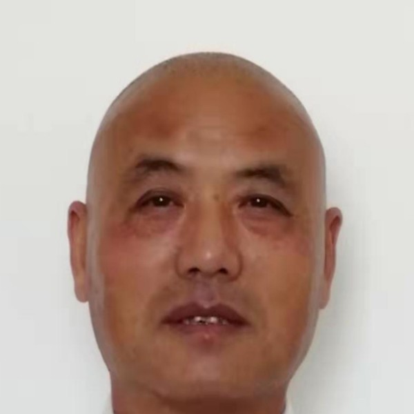 玫瑰停止潇洒的照片