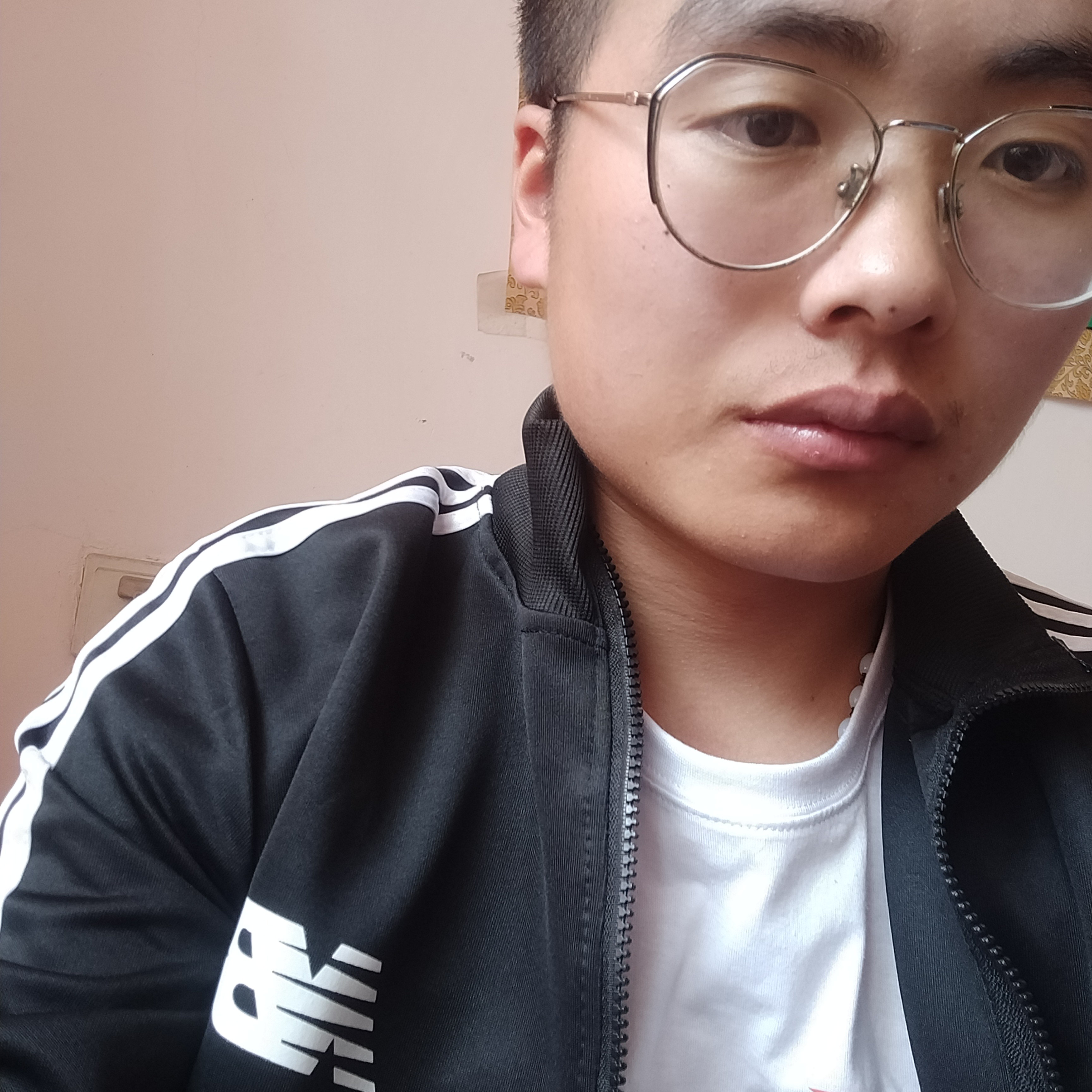 谨慎浅吻翅膀的照片