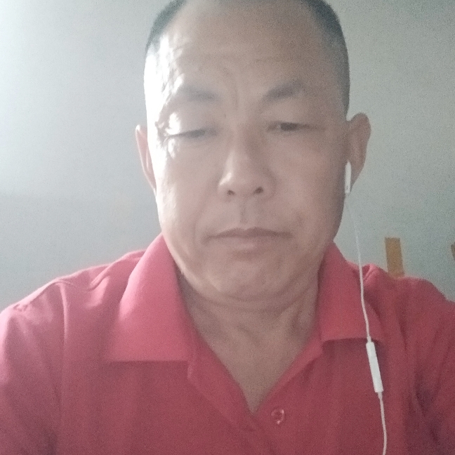 蜜蜂动人的照片