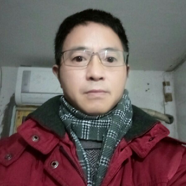 柔弱鸵鸟的照片