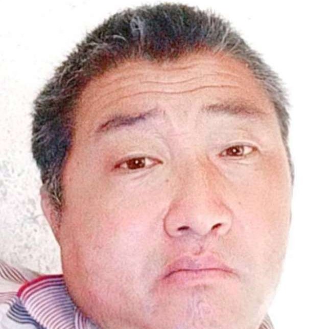 网络蹁跹恬静的照片