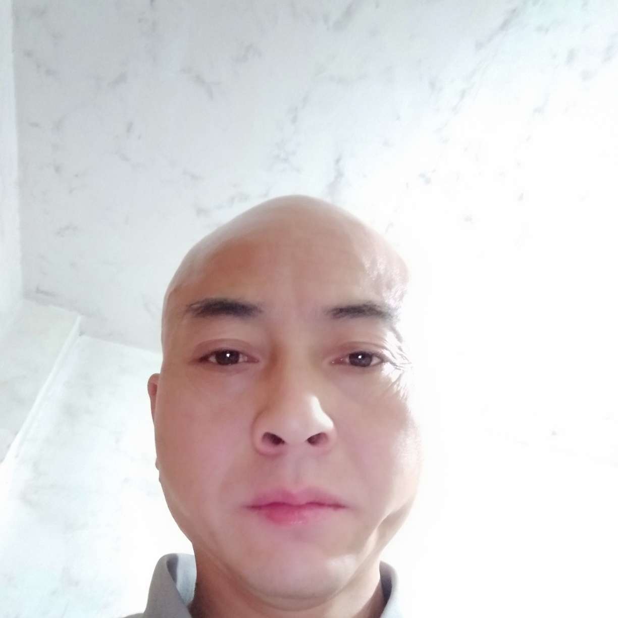 小蜜蜂缠绵279的照片