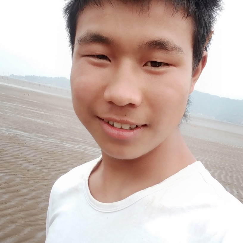 翅膀英俊的照片
