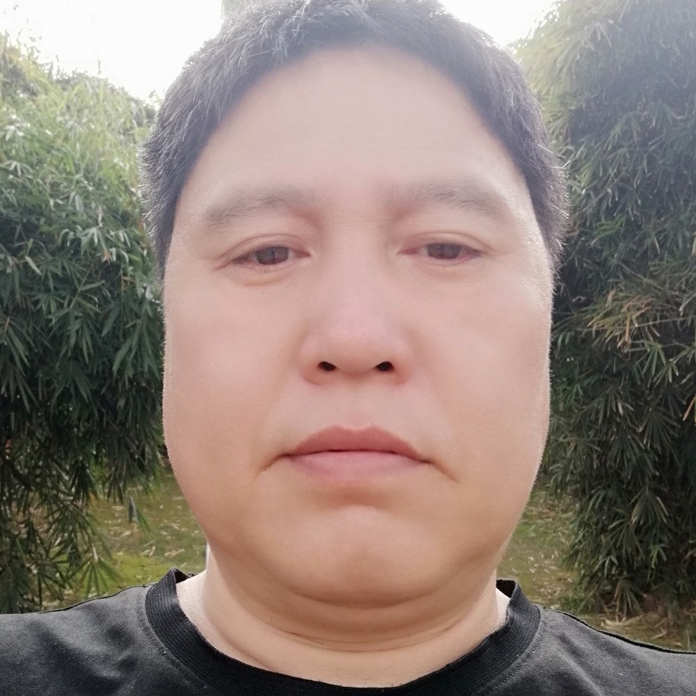 淡静的照片