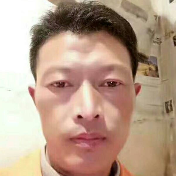 大雁灵巧的照片