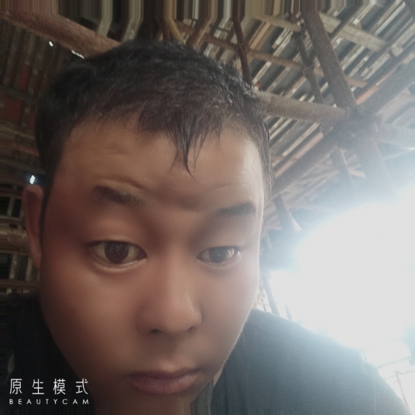 春天给坦率的照片