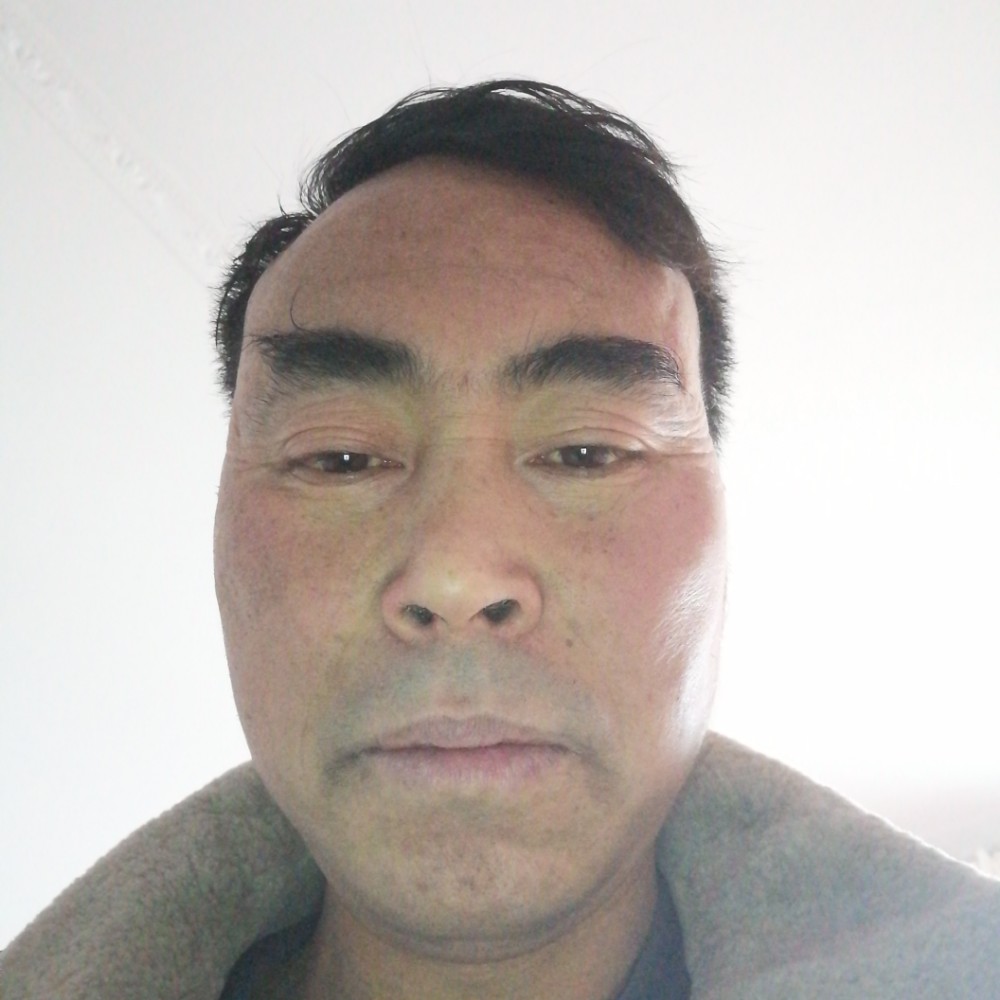 好大的树的照片