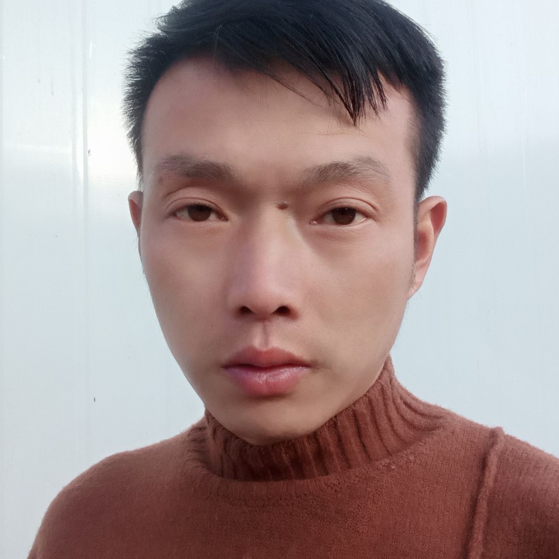 儒雅請黑猫的照片
