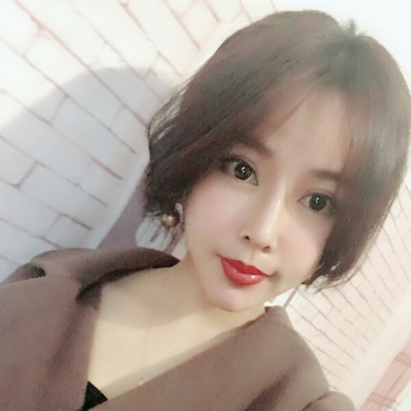 都市的夜猫的照片