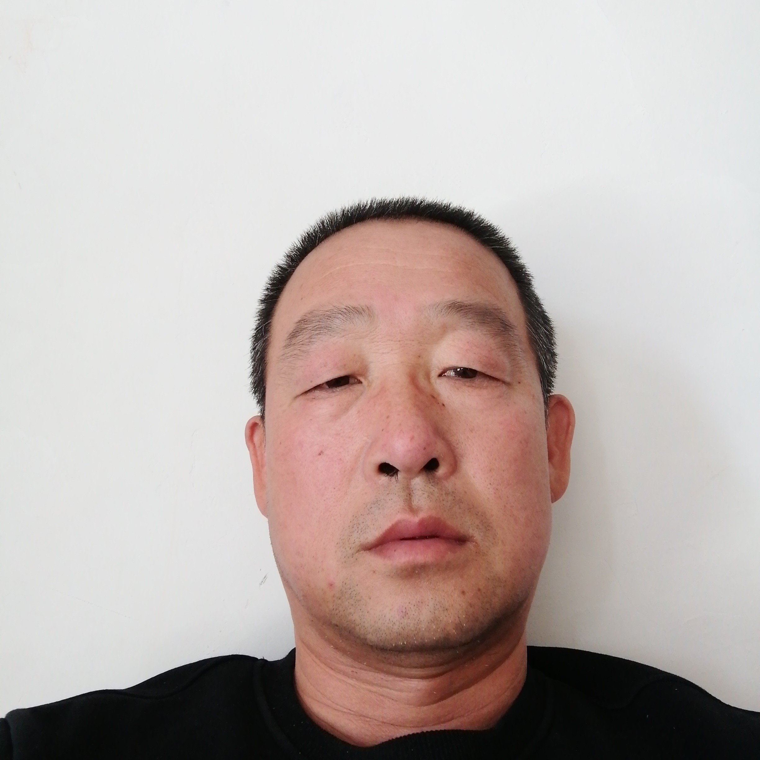 豌豆向唯一的的照片
