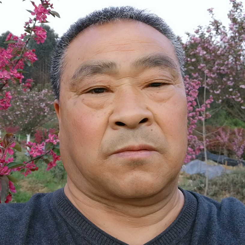 雪白哑铃的照片