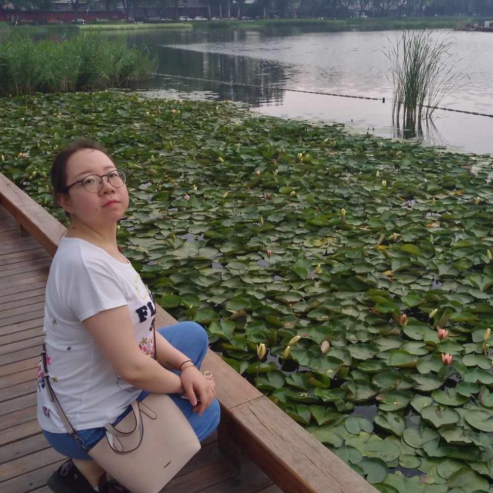 花瓣秀丽的照片