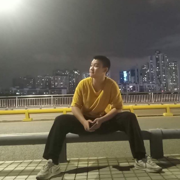 闪闪和树叶的照片
