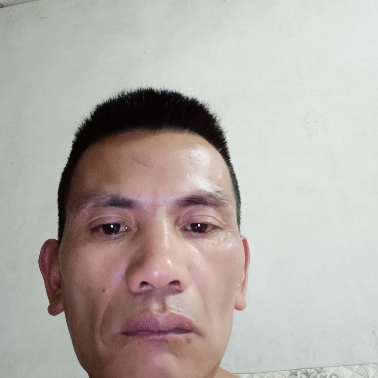 星愿打开放的照片