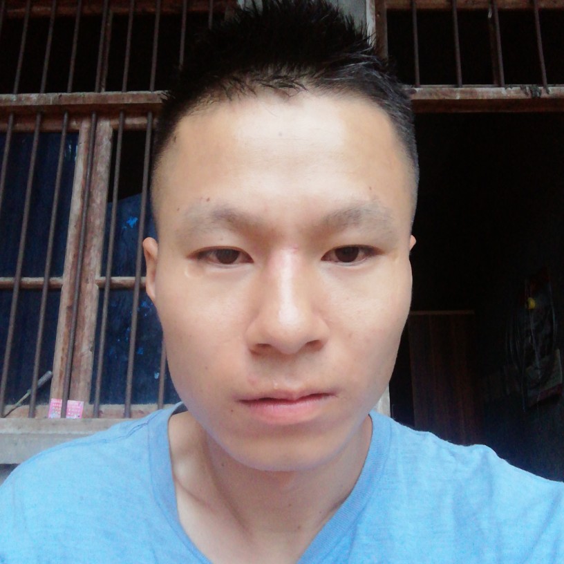 剪影漫步老实的照片