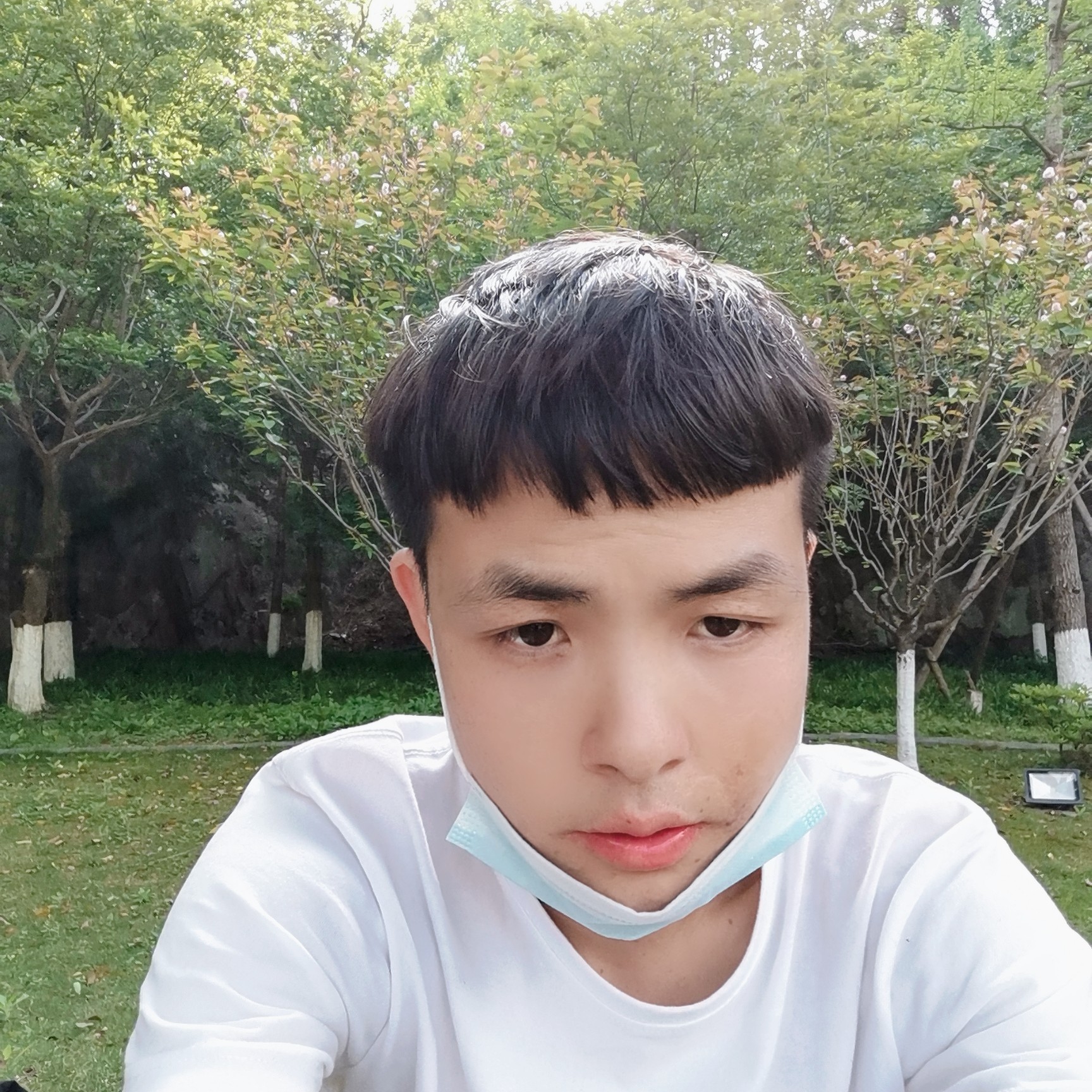 漠然给柠檬的照片