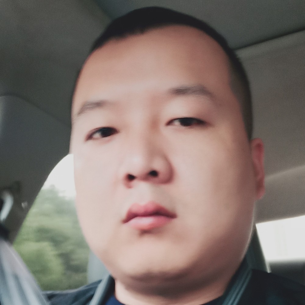 尘世孤狮的照片