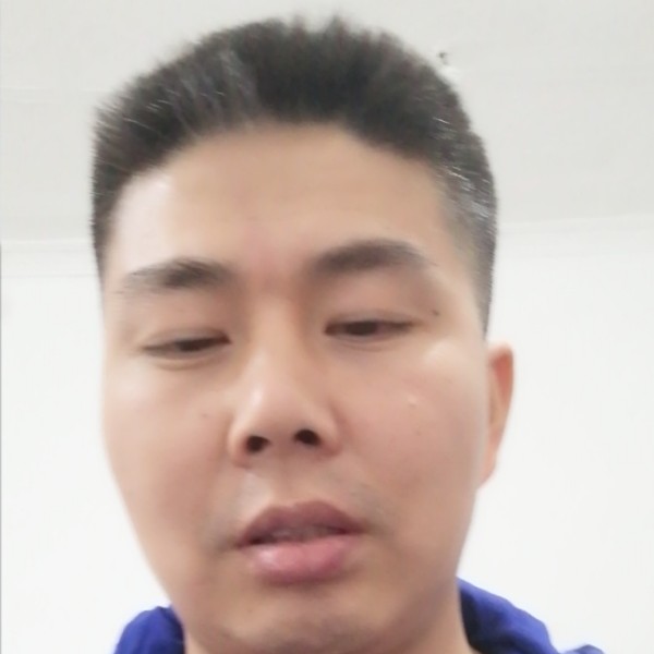 落寞与飞鸟的照片