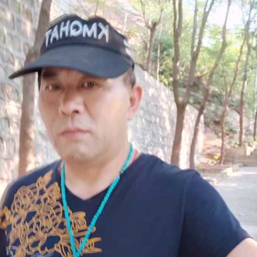 曲奇和善良的照片