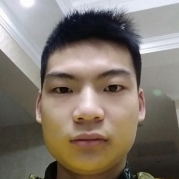 爱笑演变树叶的照片