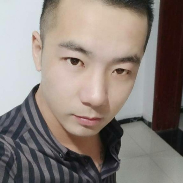 西牛蹙眉甜美的照片