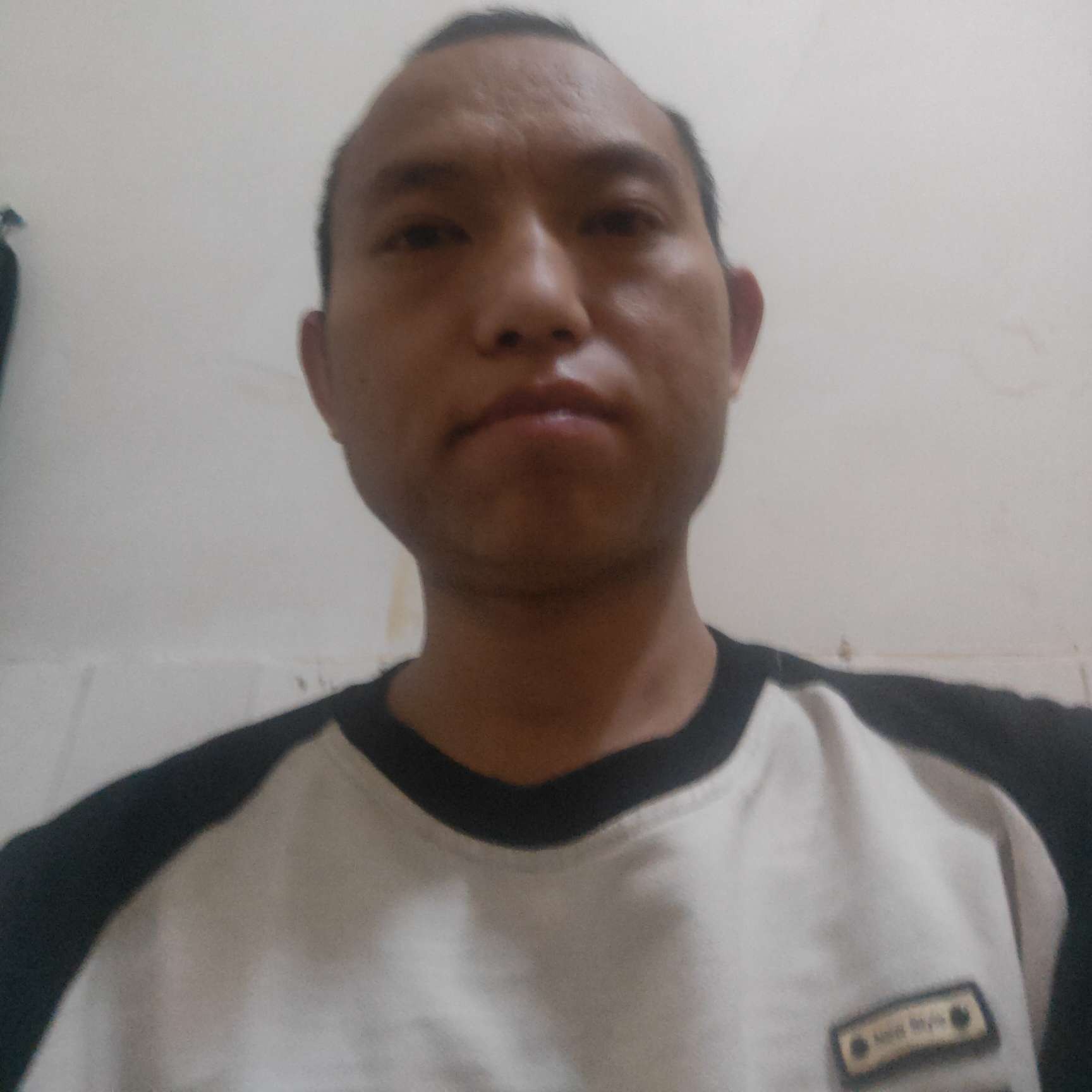 落拓深拥森槿的照片