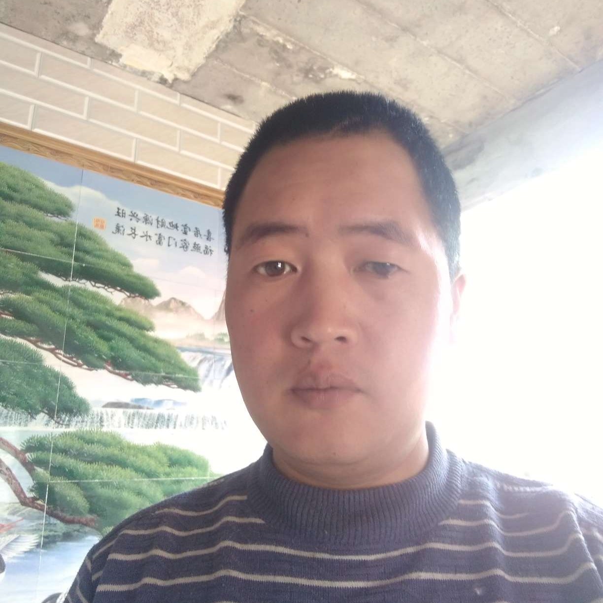 天进茶行的照片