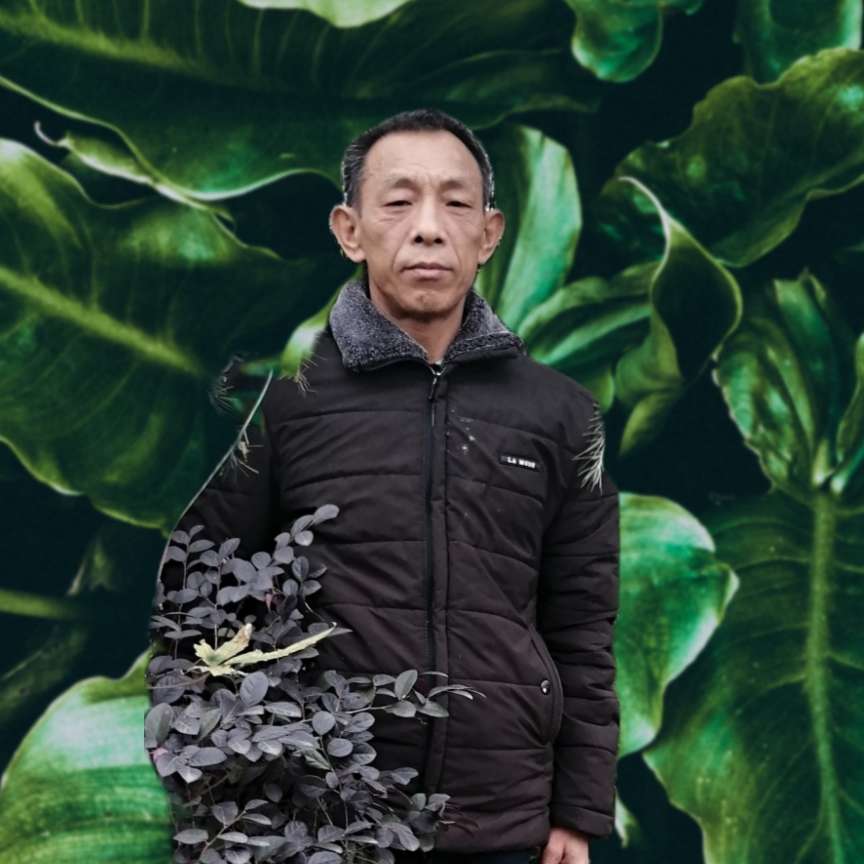 眼神挽手一个人的照片