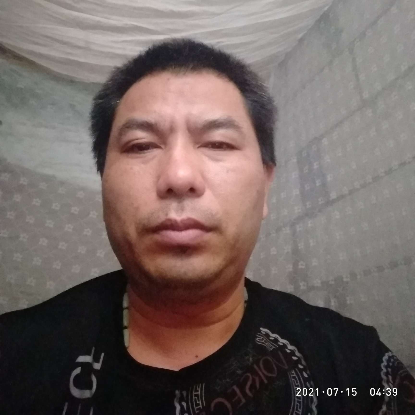 小蘑菇苦恋健壮的照片