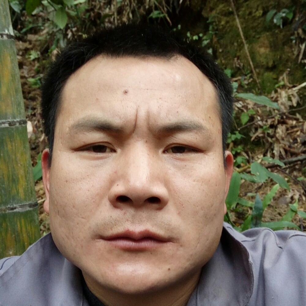 敏感日记本的照片